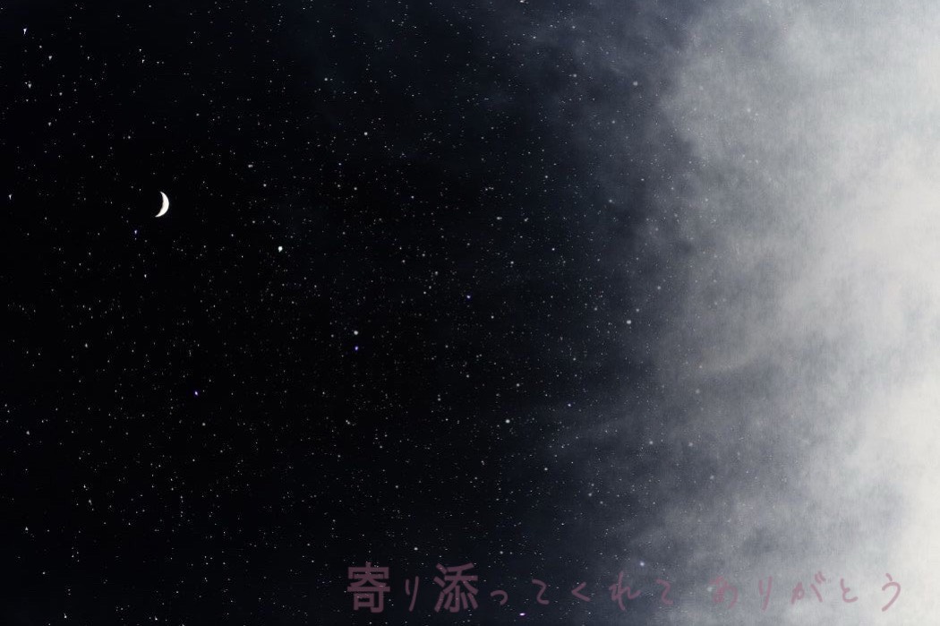 🔍🐈‍⬛🔖⋰おじしょちゃん     ❍