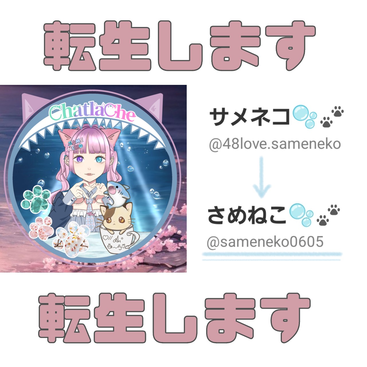 サメネコ🫧‪🐾アーカイブ用