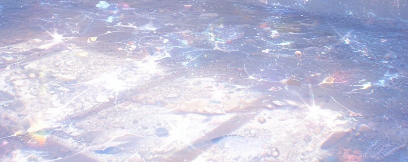 天 使 て ん.𓏲୨ⁿ¹