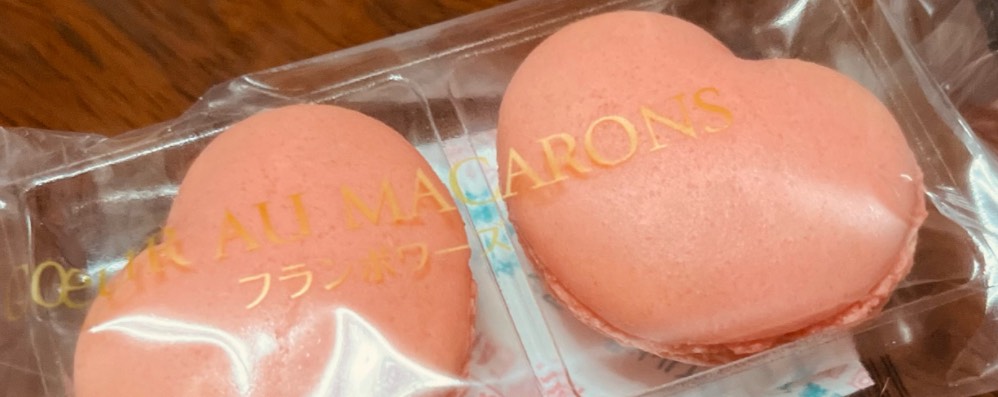 🎋‬ササキ𓃿🫧