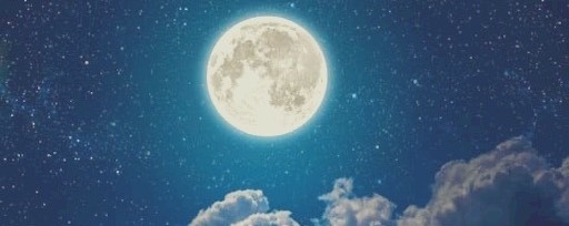 *☪︎⍢⃝🐈‍⬛ねこやん