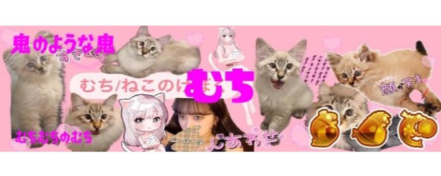 むち🐈🎀