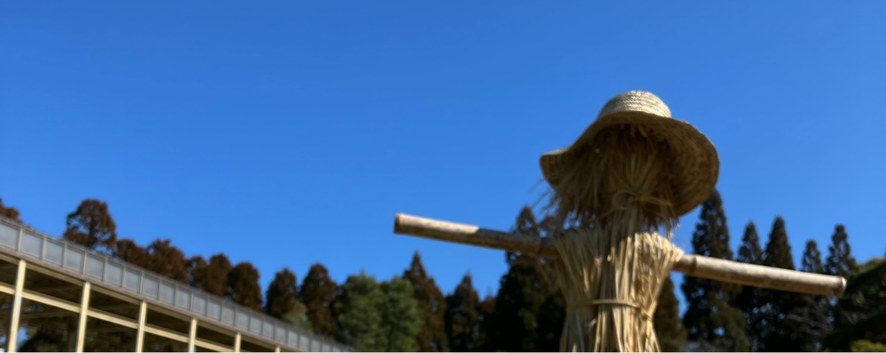 ðŠå¥è¯ã®ããŒããŒïŒã¢ã60