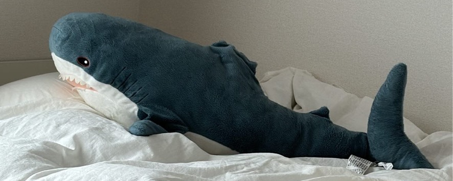 ﾔｶ