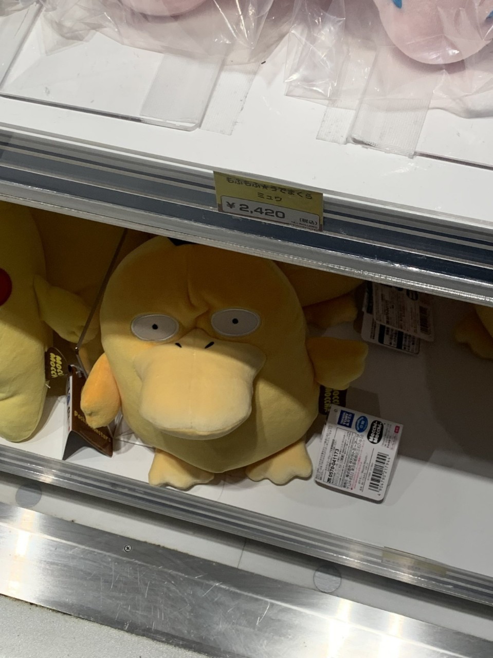 給料日前のもやし