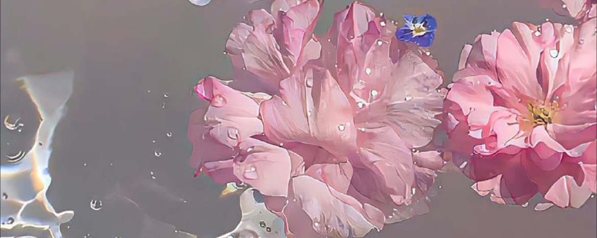 𝑯𝑰𝑵𝑨𝑹𝑰