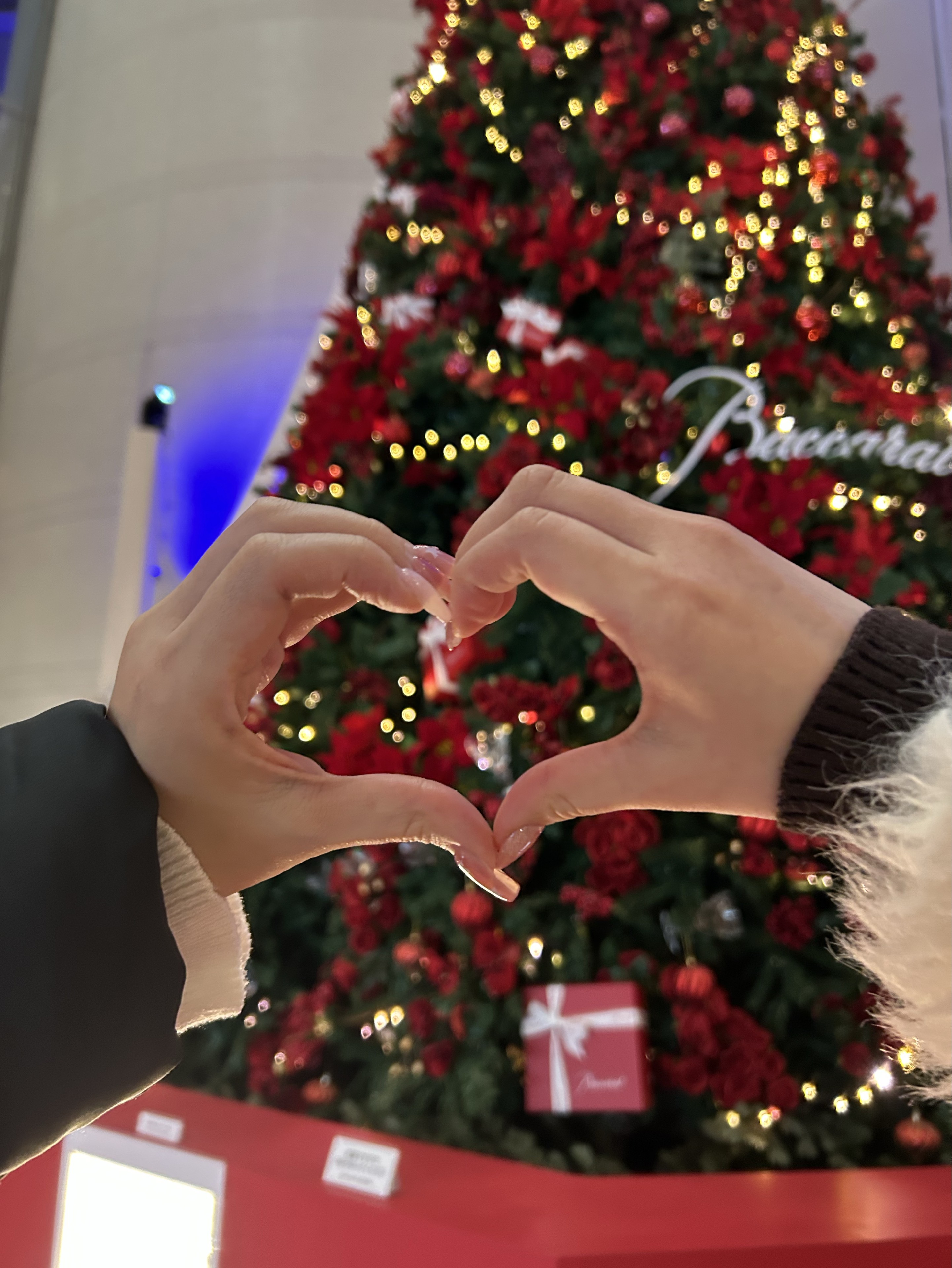 エグゼクティブ･リリー