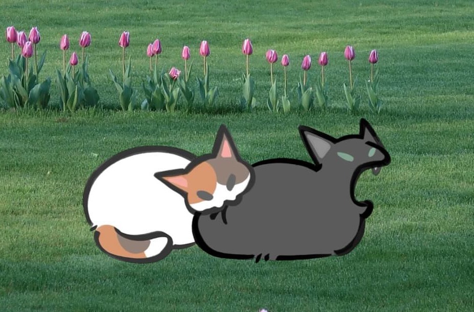 みのうら