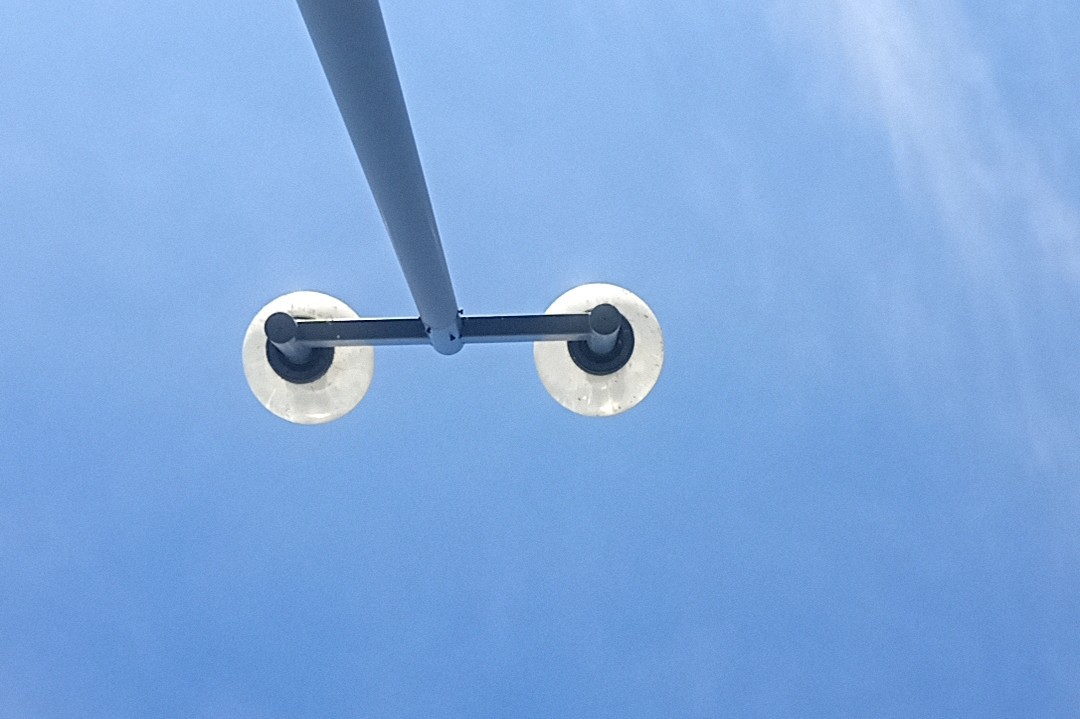 ゆうた(こつぶ)