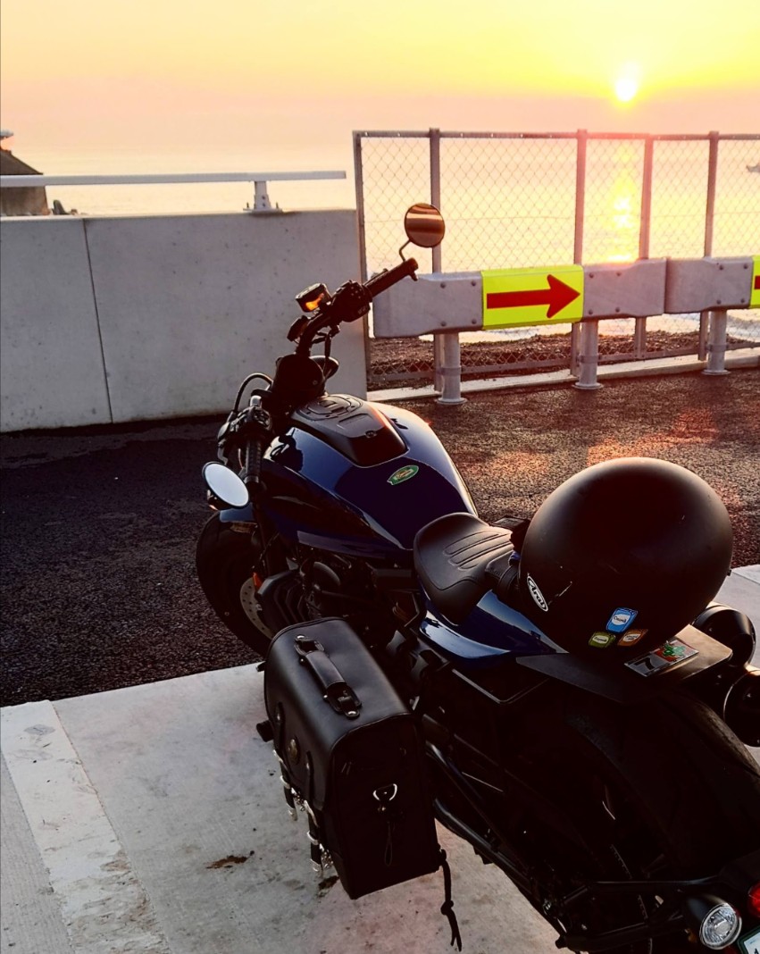 ˙˚𓆩shige𓆪 ˚͛͛‪🐬🎍