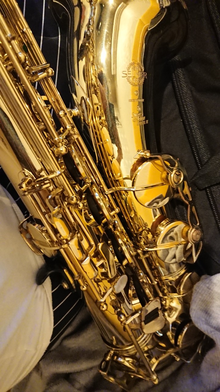 紡想(つむぎ)🎷🎤💕
