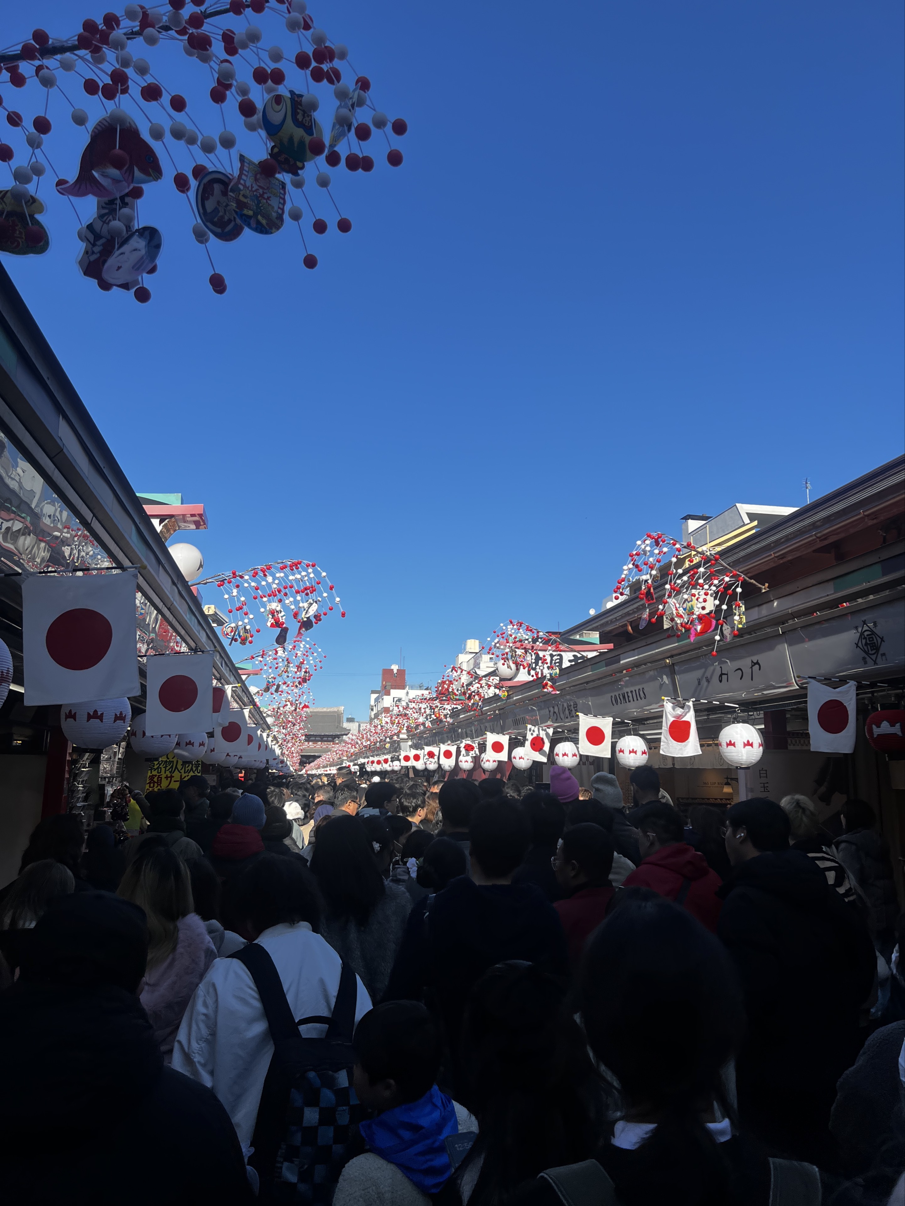 ドングリ《𝐈𝐗韓国語》