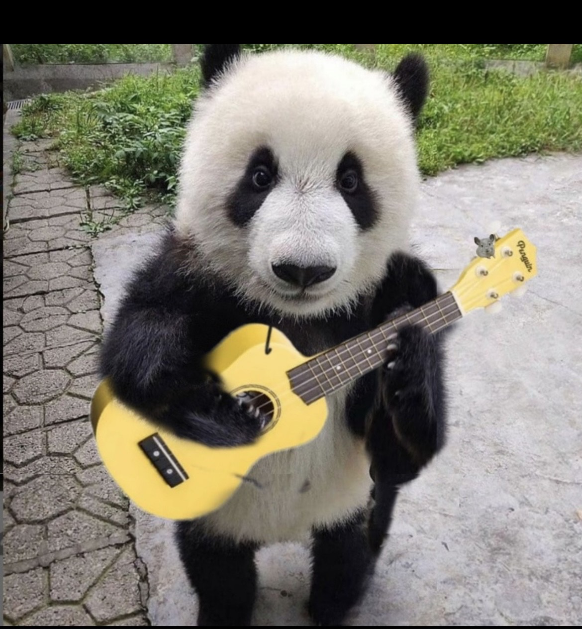 🍡うさぎ＠高木部