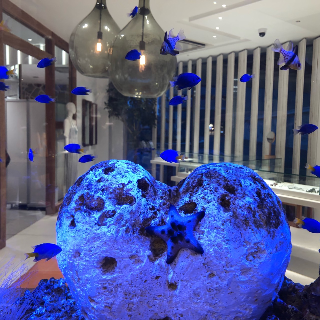 さかな＆新米夫婦🌾