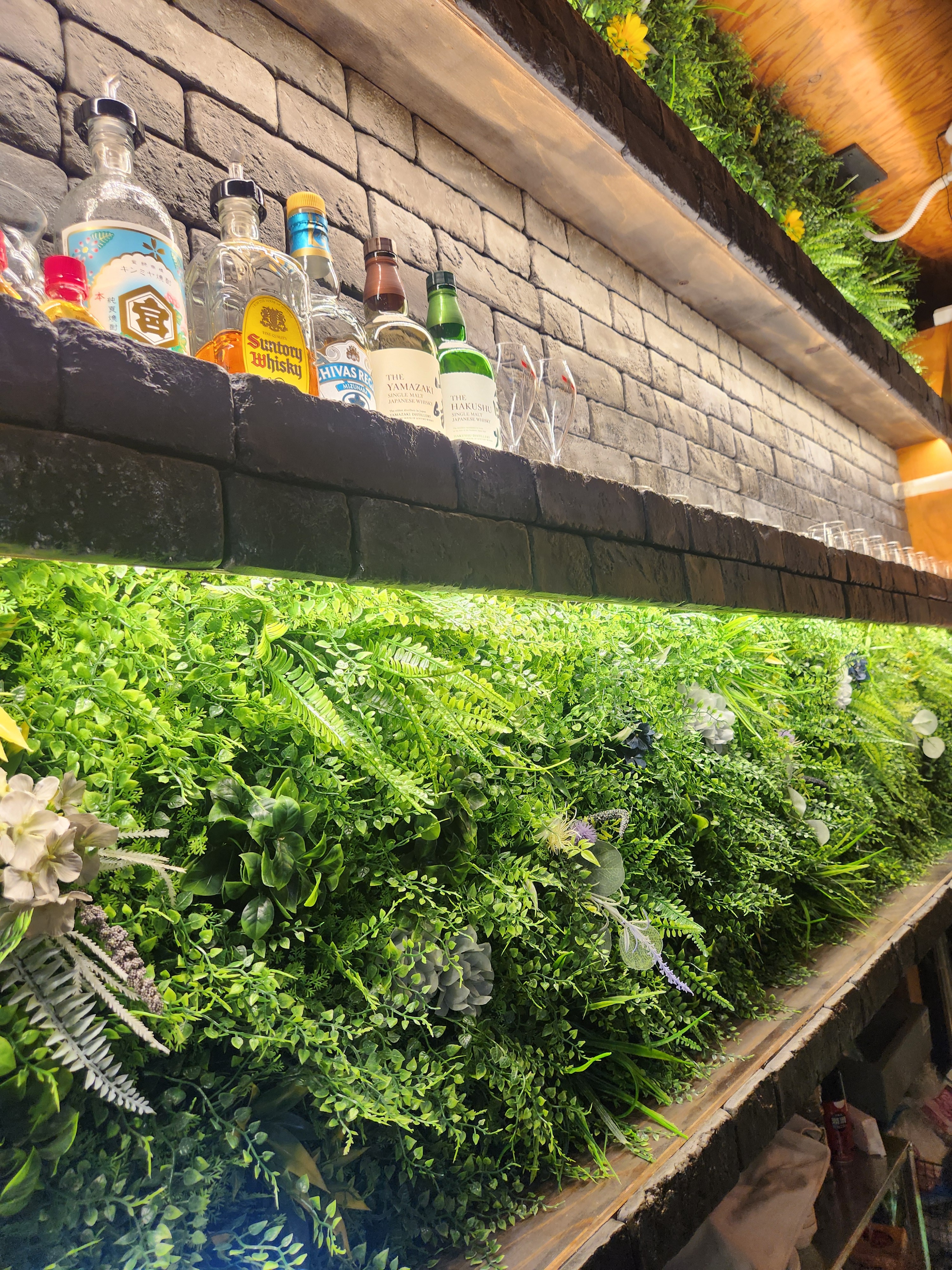 とみくも・やんちま