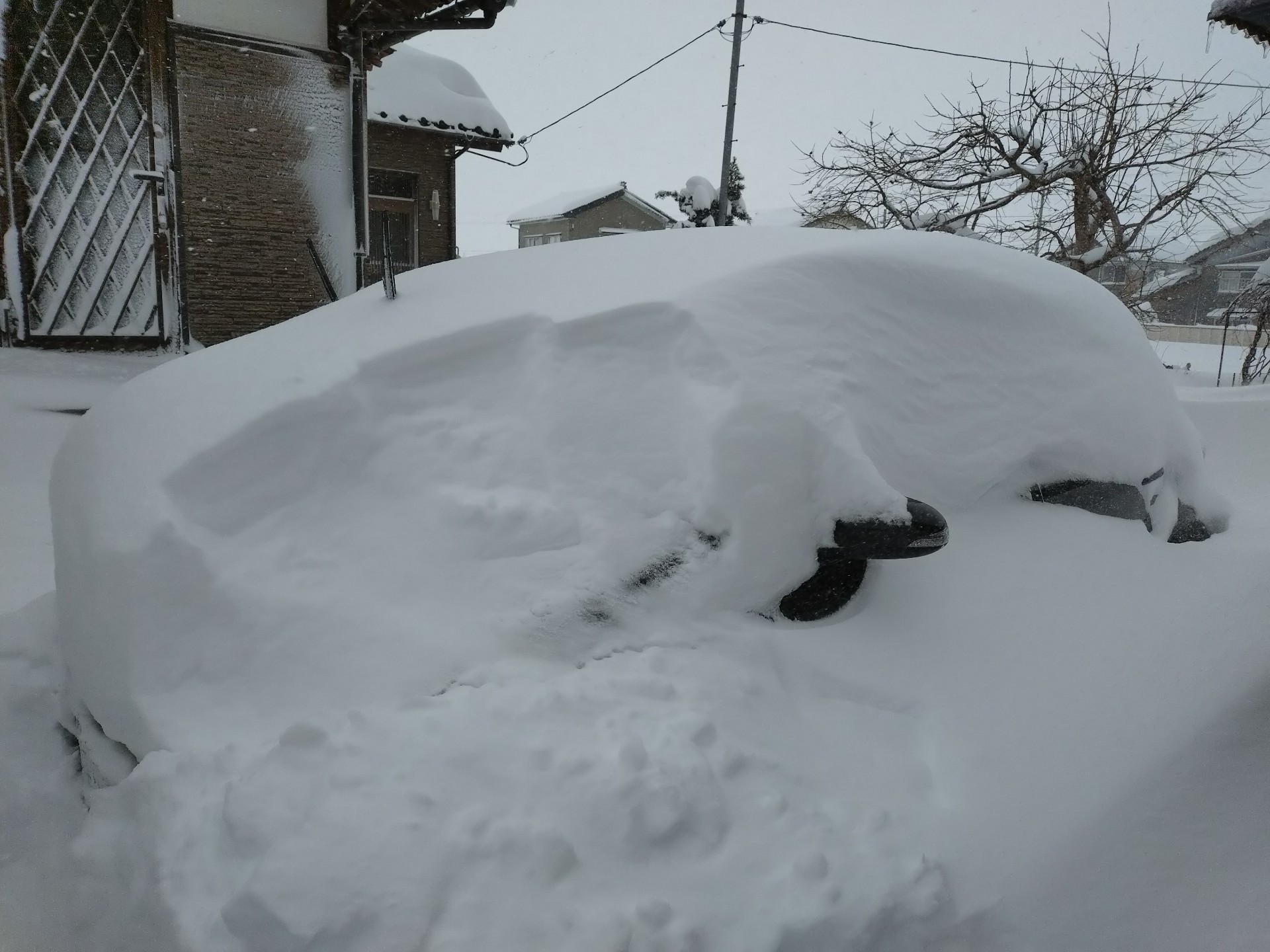 ゲスメンゲスボのチョコフォンデュ中クソ鶏