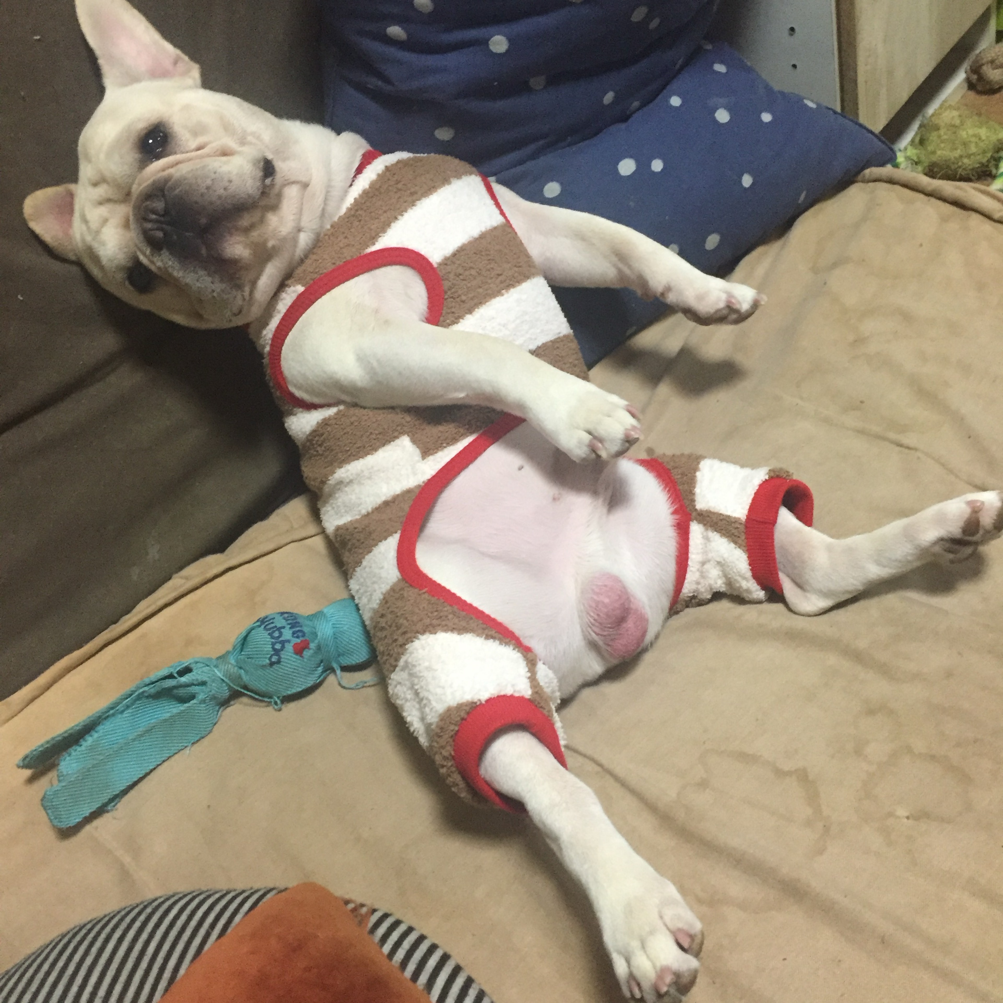 で͓̽で͓̽さん@潜り上手