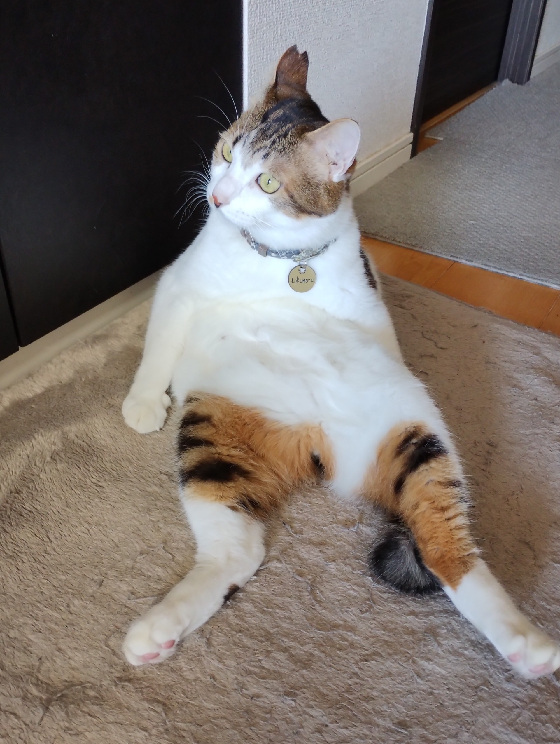 maron🪽@潜り気味