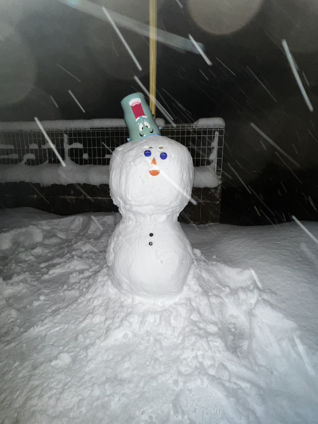 ピノコ✮(pοωΟq)ｱｯﾁｮﾝﾌﾞﾘｹ