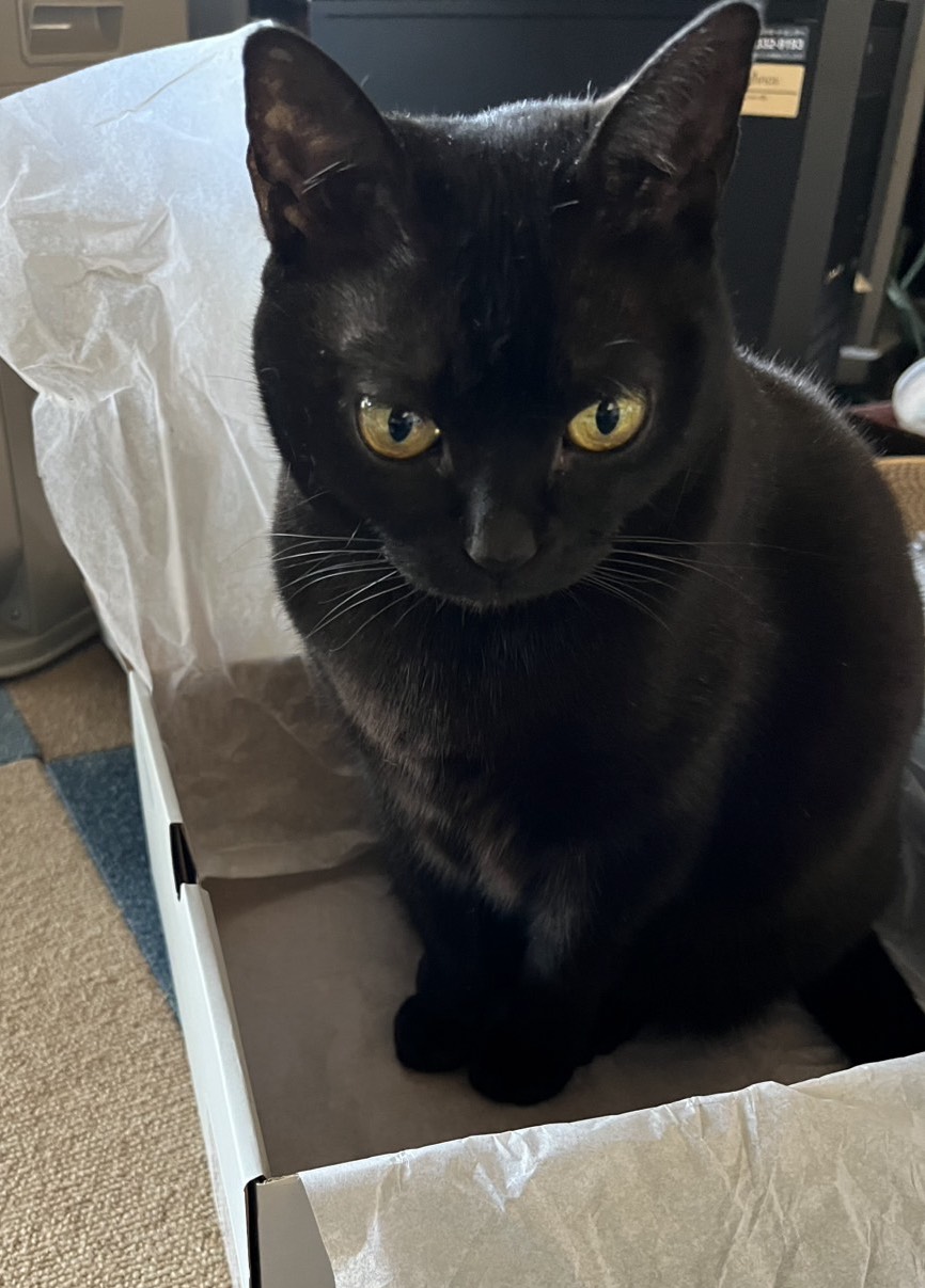 🌰🐿ぱんくん(o🥖'▽')o🥖 ᜊྀི·