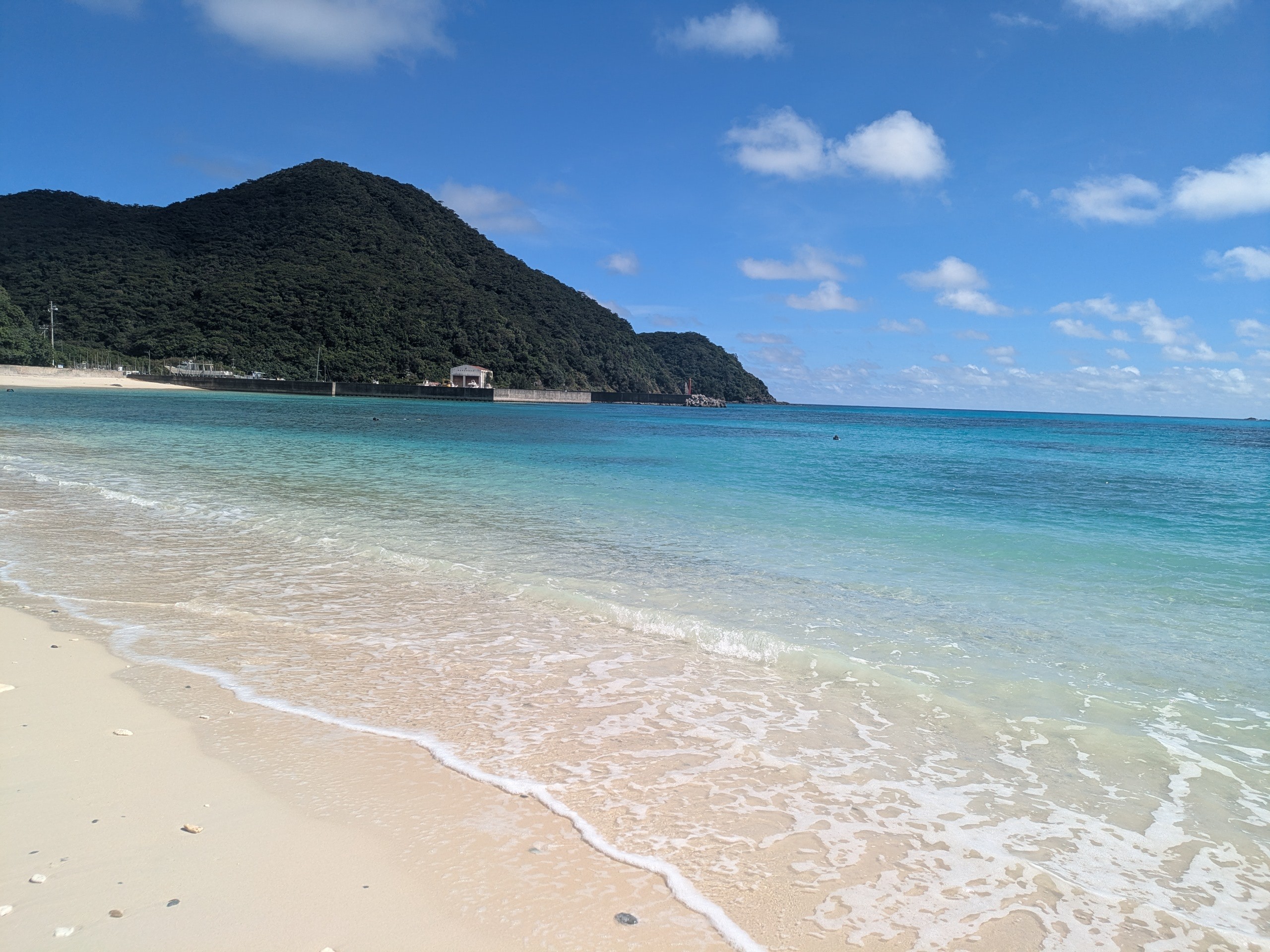 (_·@*゜偽執事。