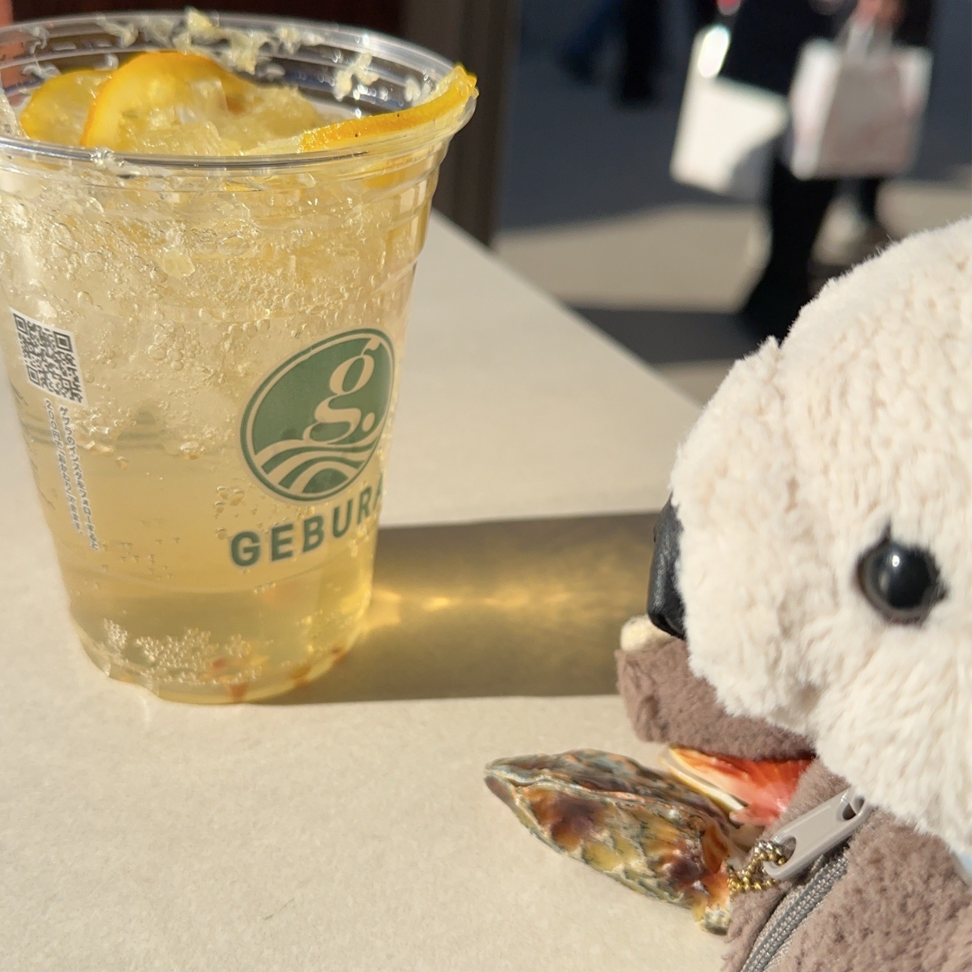 🦦どこぞのラッコ🦪(:3 🍋 ))