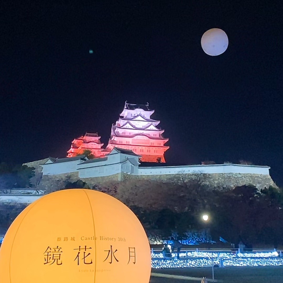 化石純一。かな。清良👸🏻