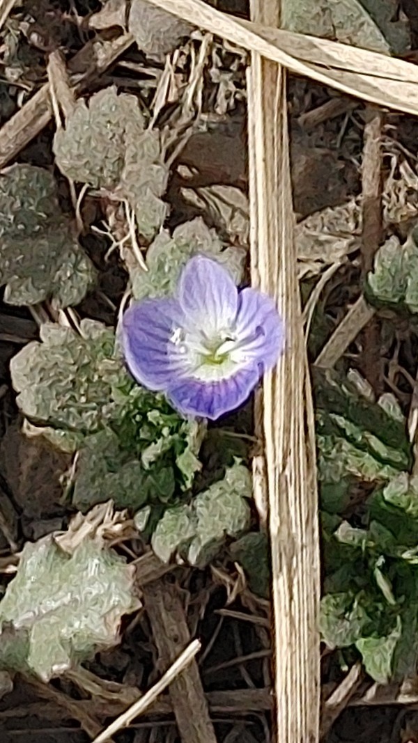 🔭星空銀河(ほしぞらぎんが)🗿