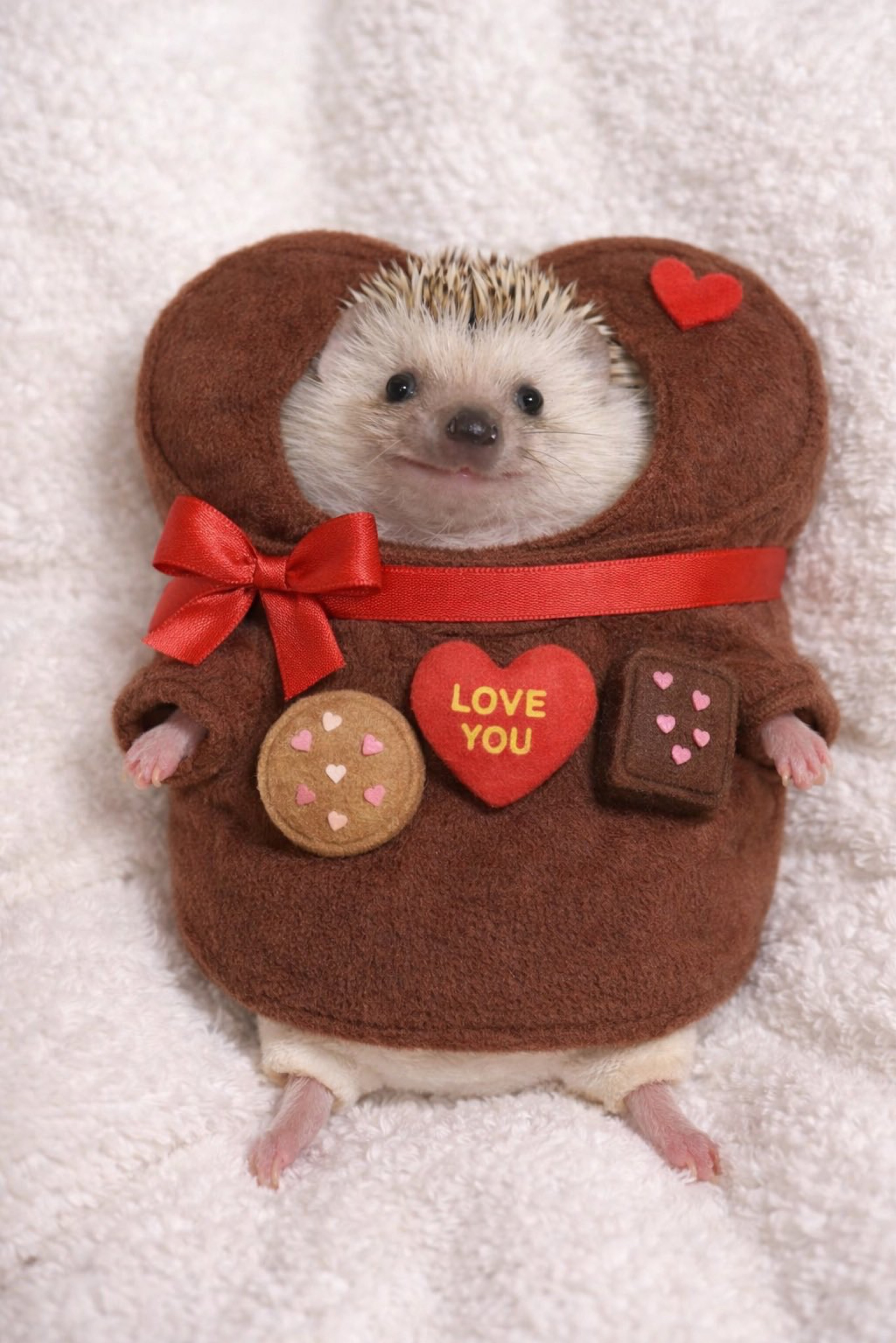 レジェンドさき*･ﾟ