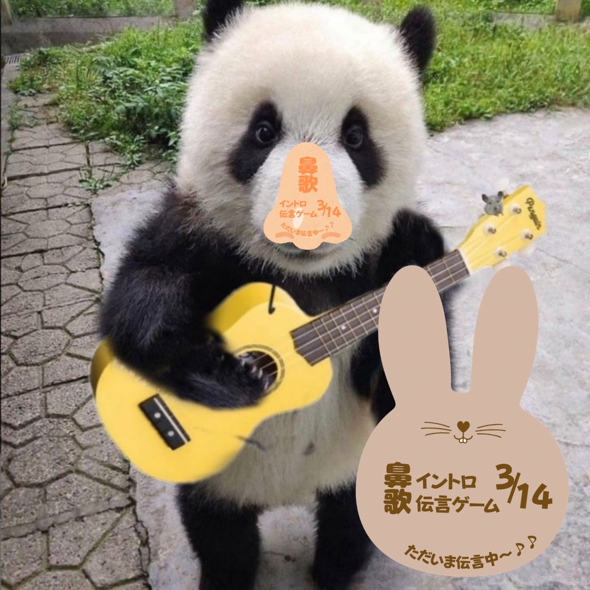 🍡うさぎ＠高木部