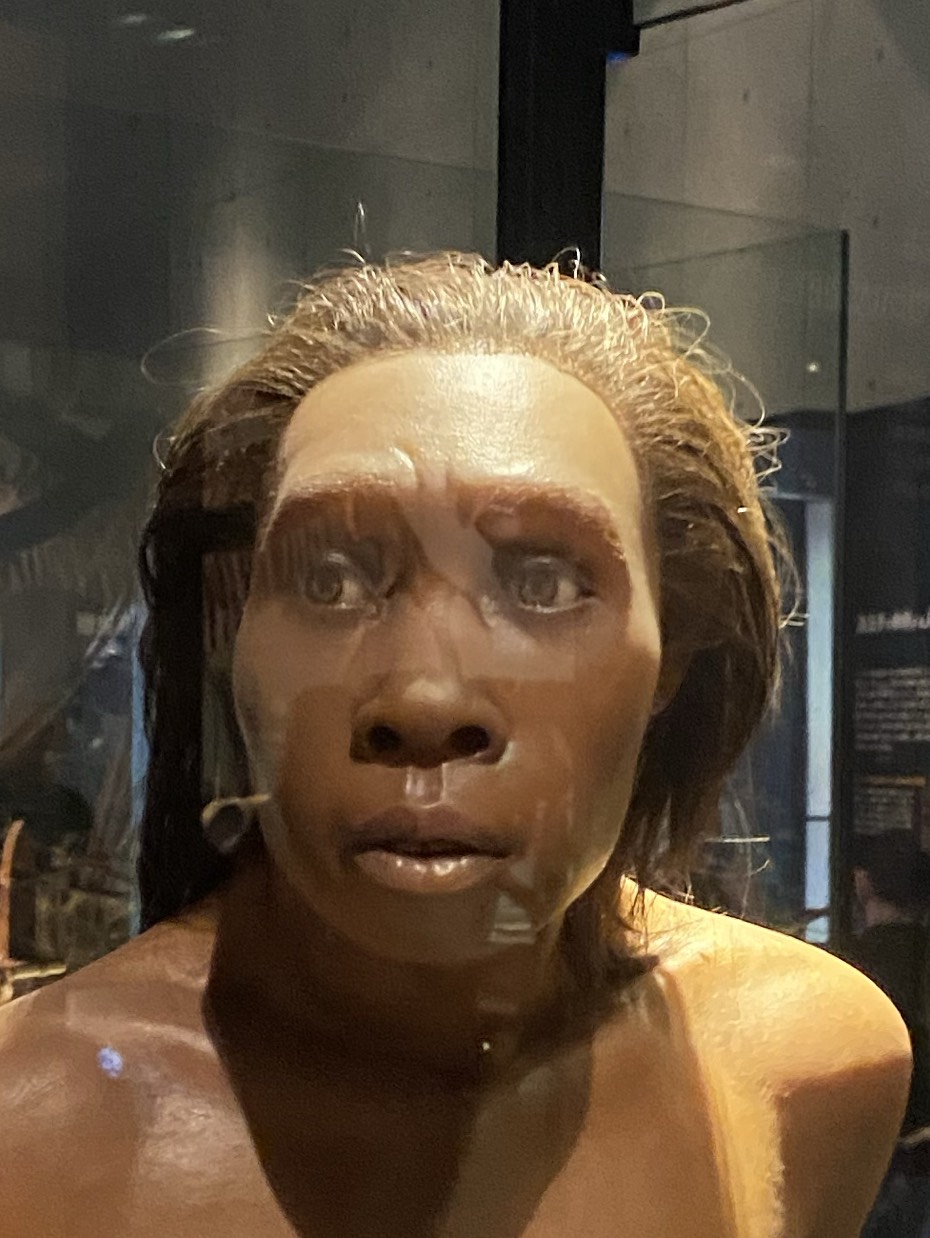 〈常連〉きーぼう(圧倒的初見)