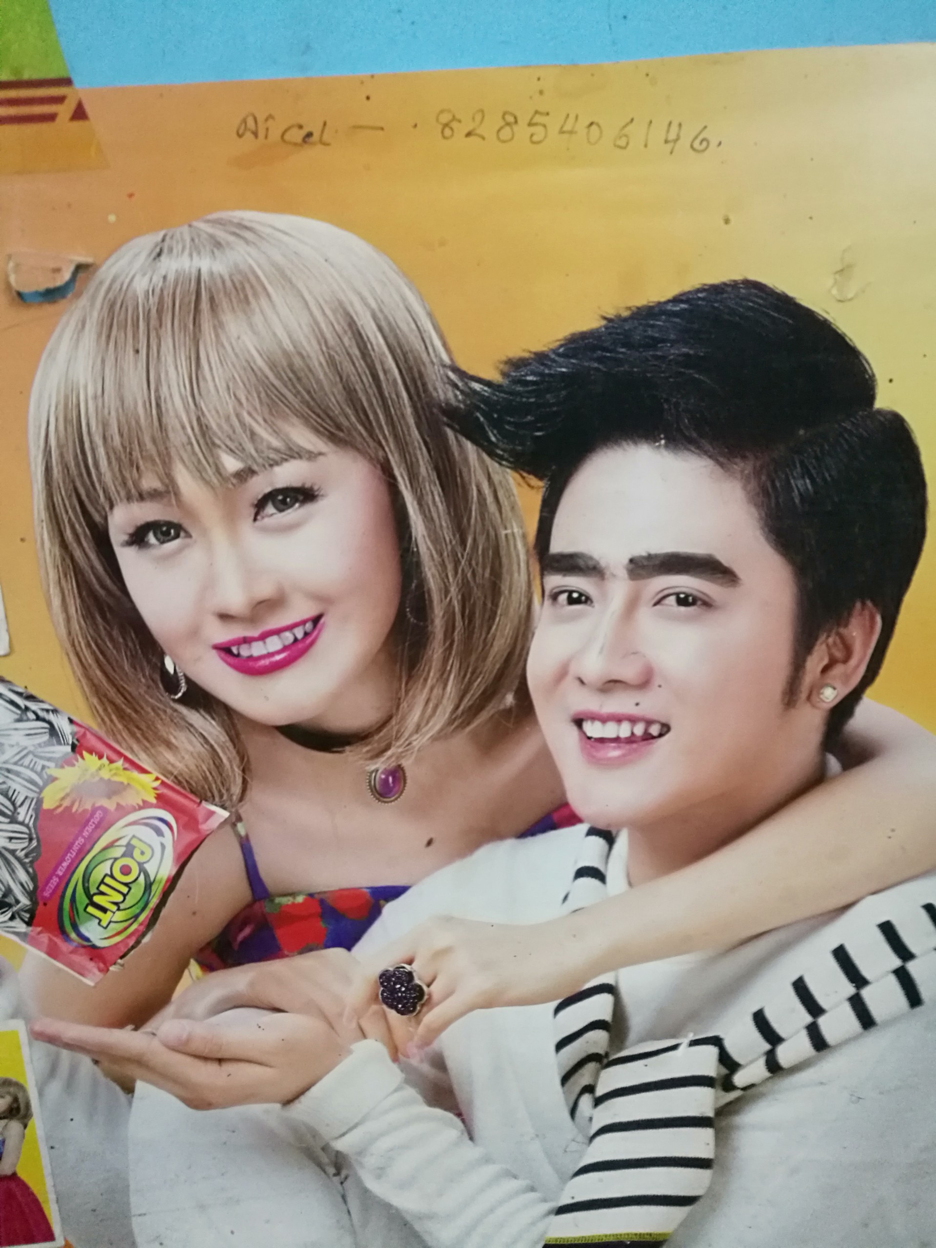 Terry(上機嫌でいこう)