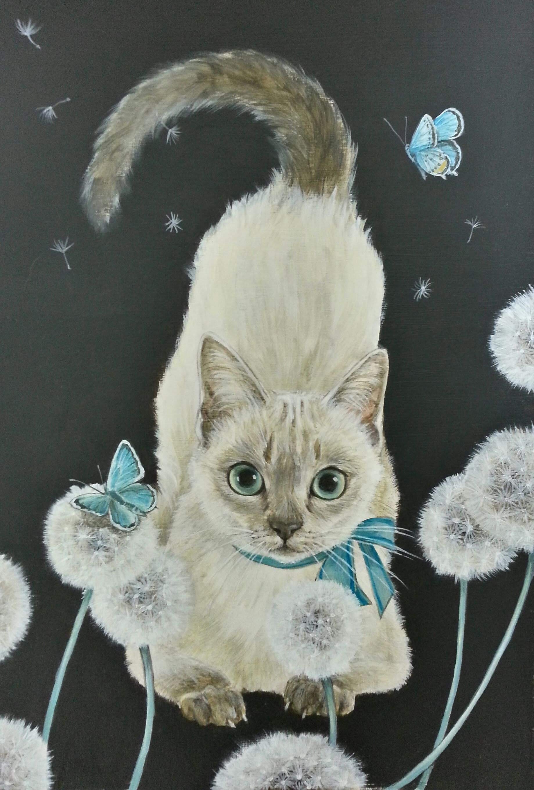 𖦔蒲公英𖦙𖣦