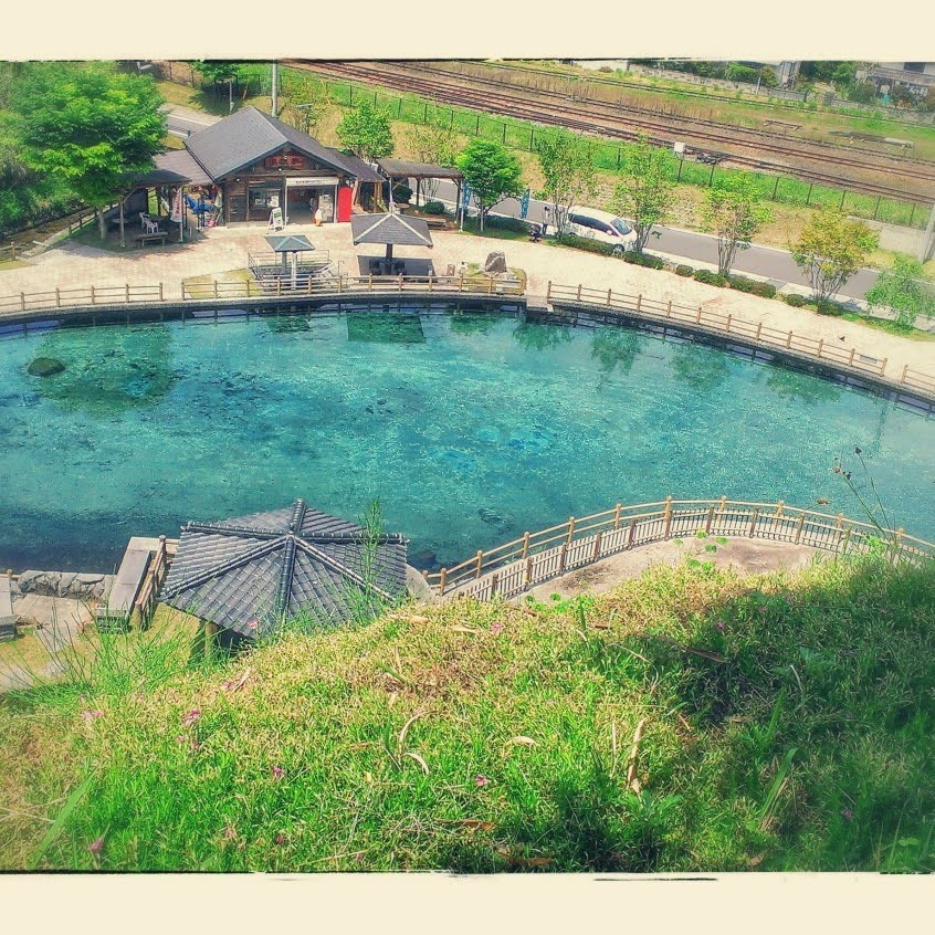 ((( º꒳​*  ))ぷる