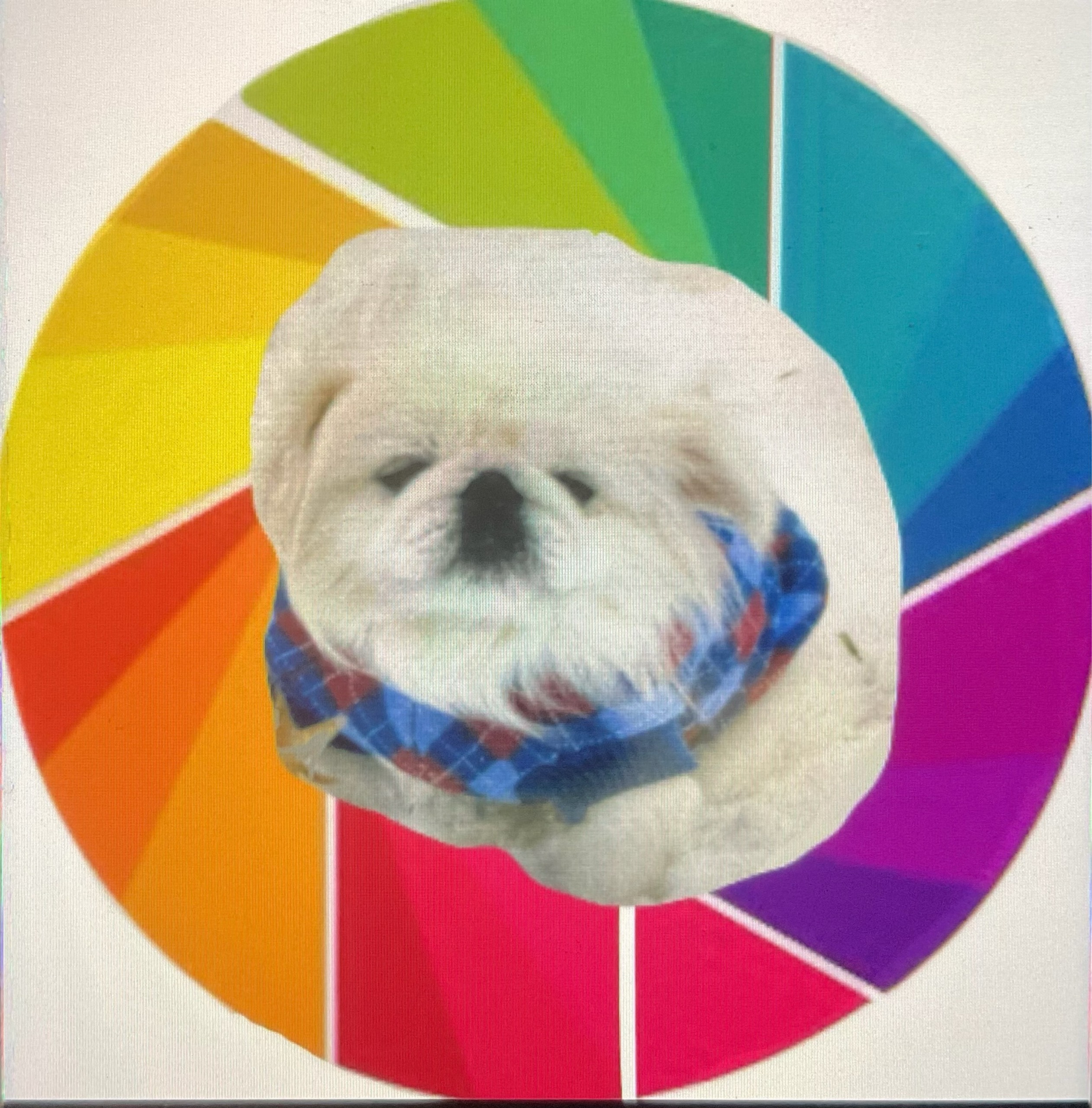 がっかり おじさん