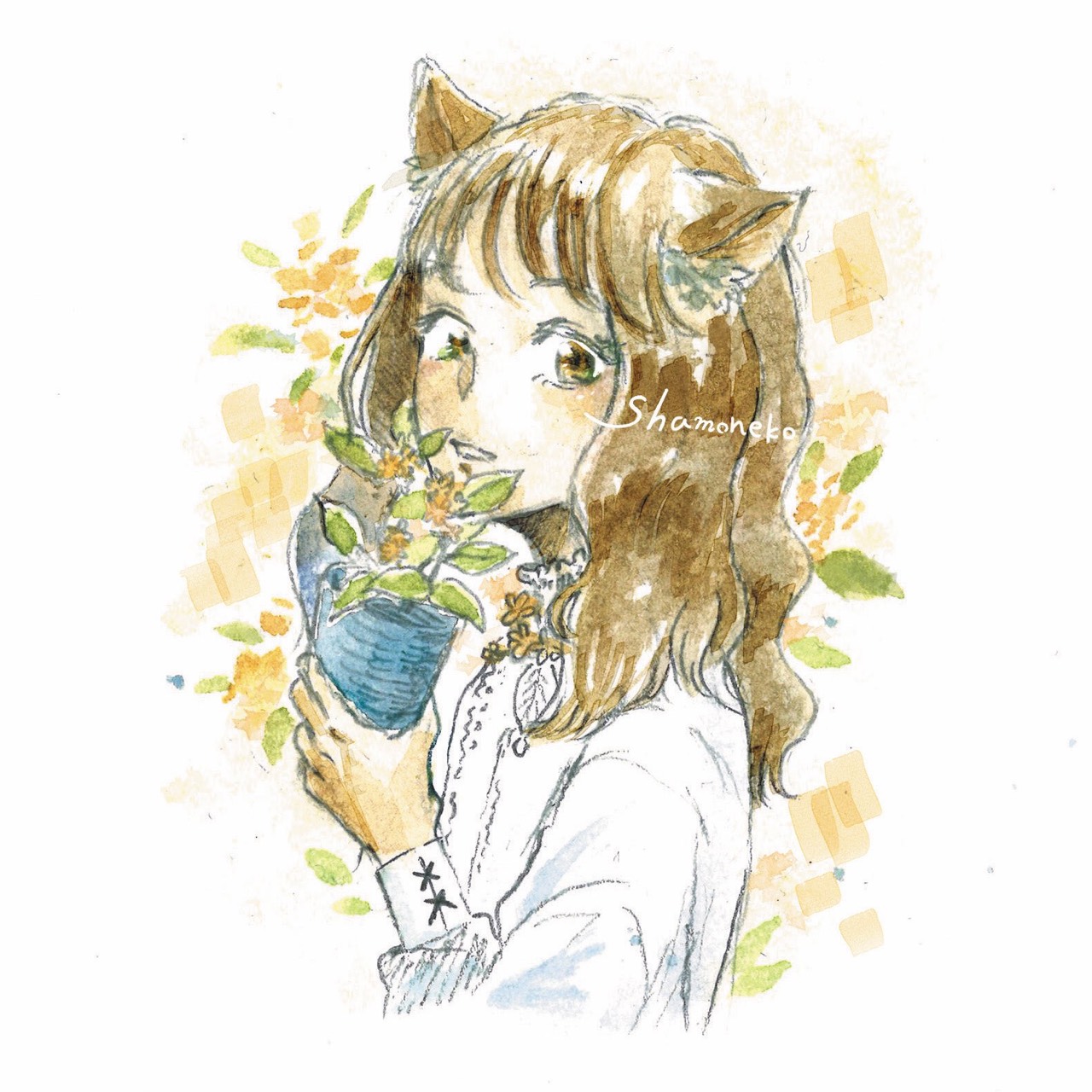 しゃも猫🐱🐕｡