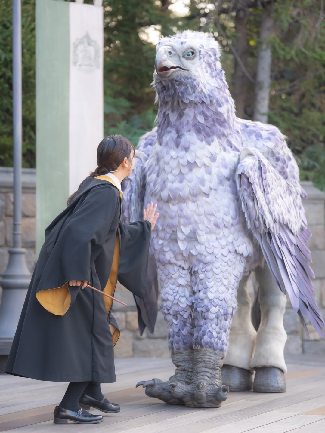 🌹♪*ﾟゆっかりちゃん