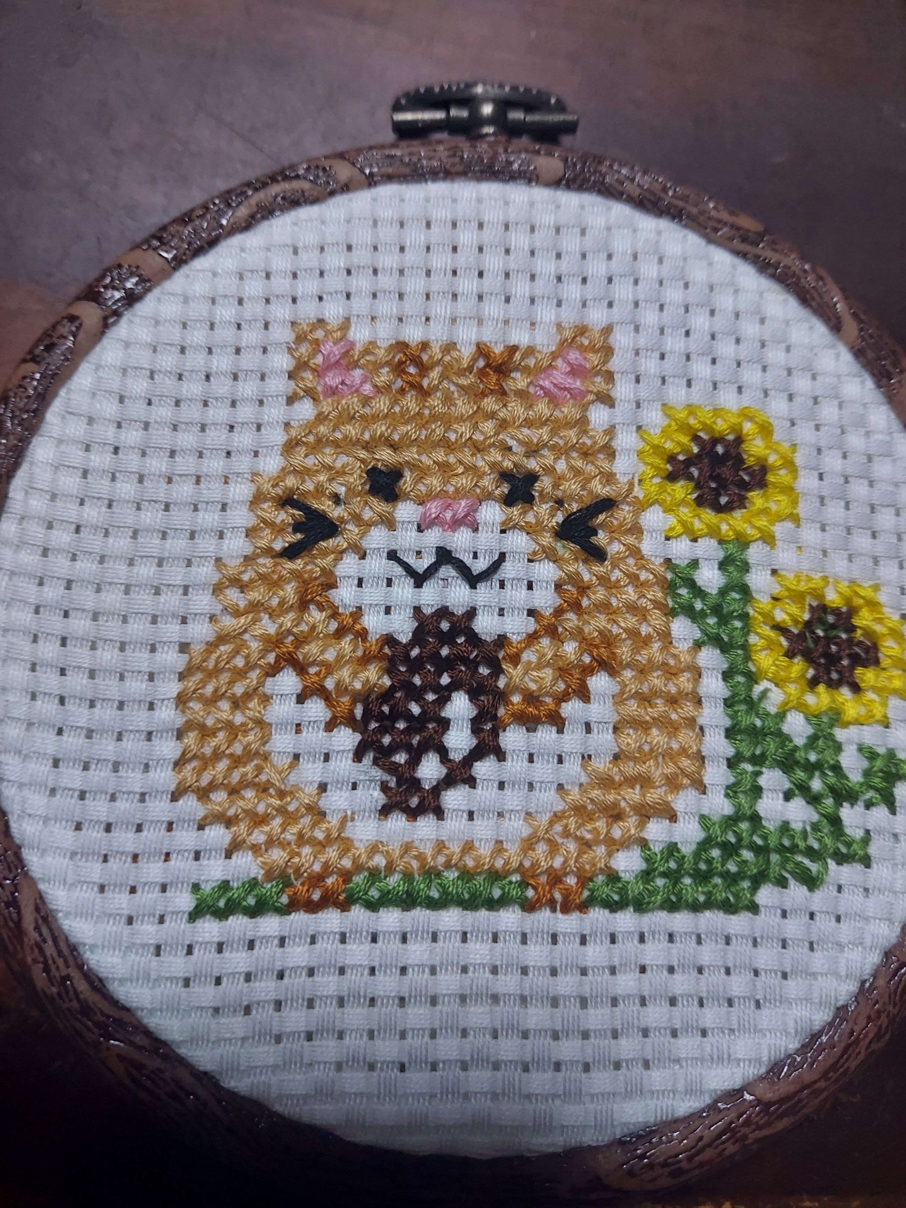 ♪かーこちゃん♪