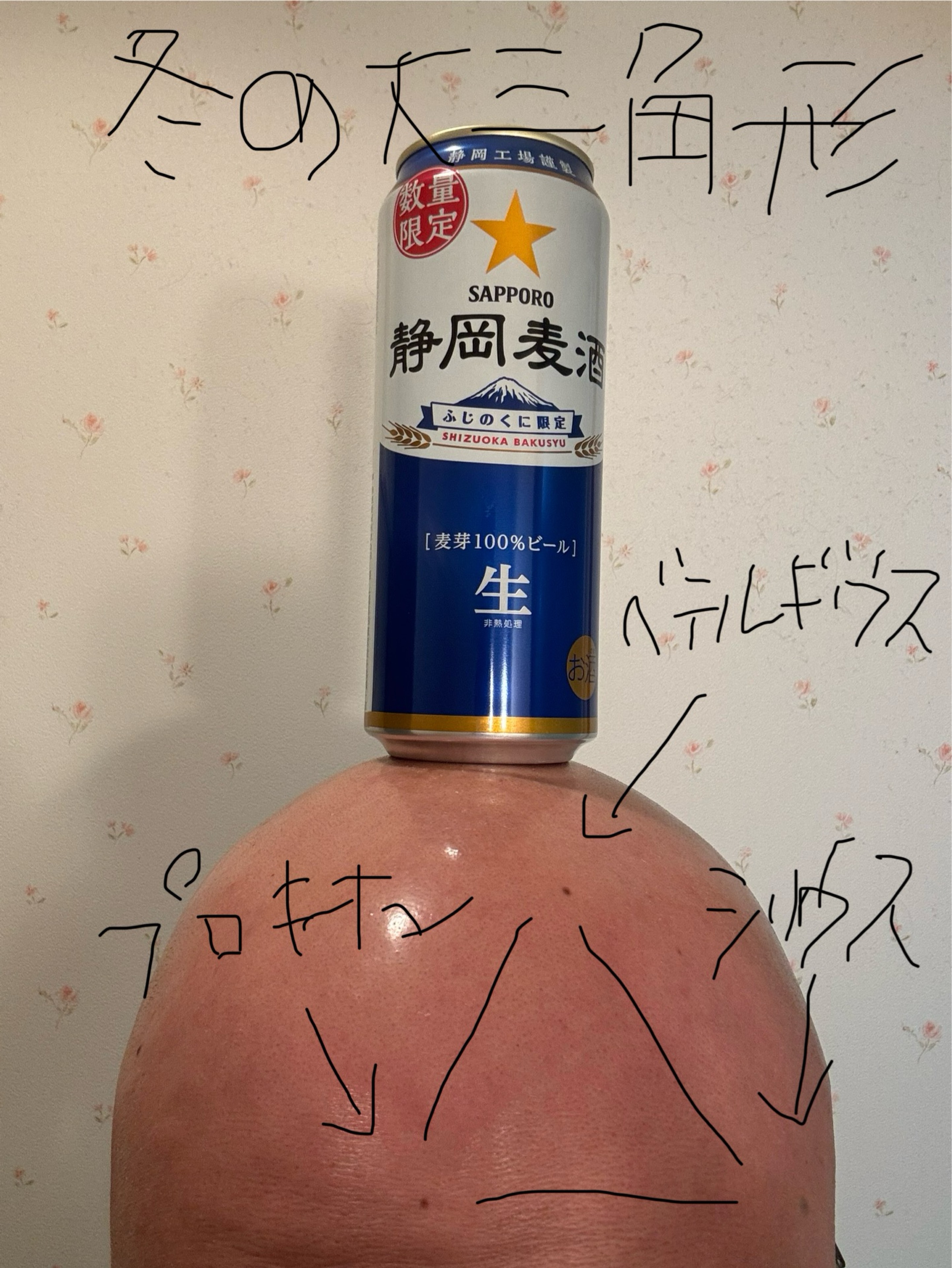 mutagucchi（むた）🐈🐾