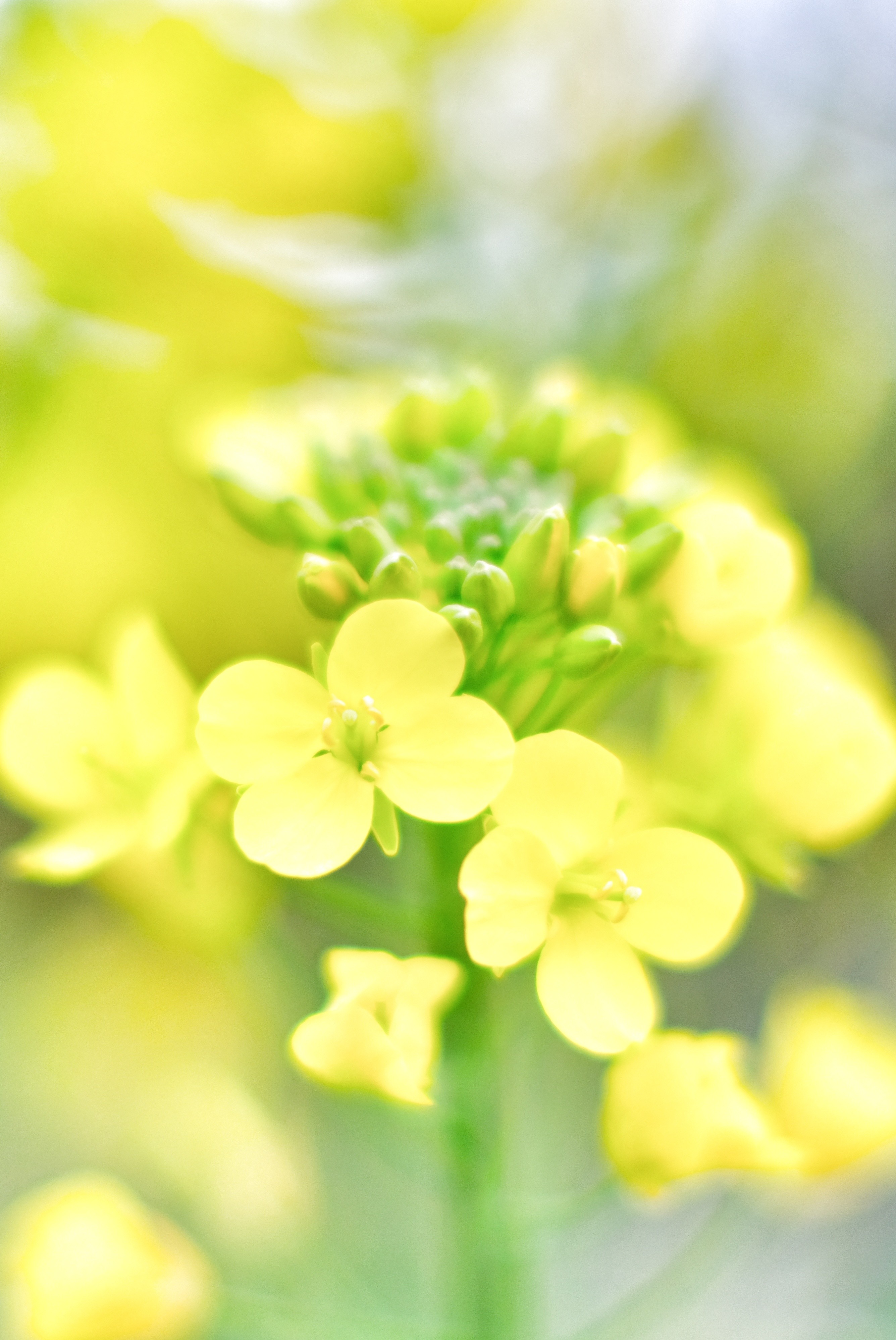 ひろ爺💙🌈❄