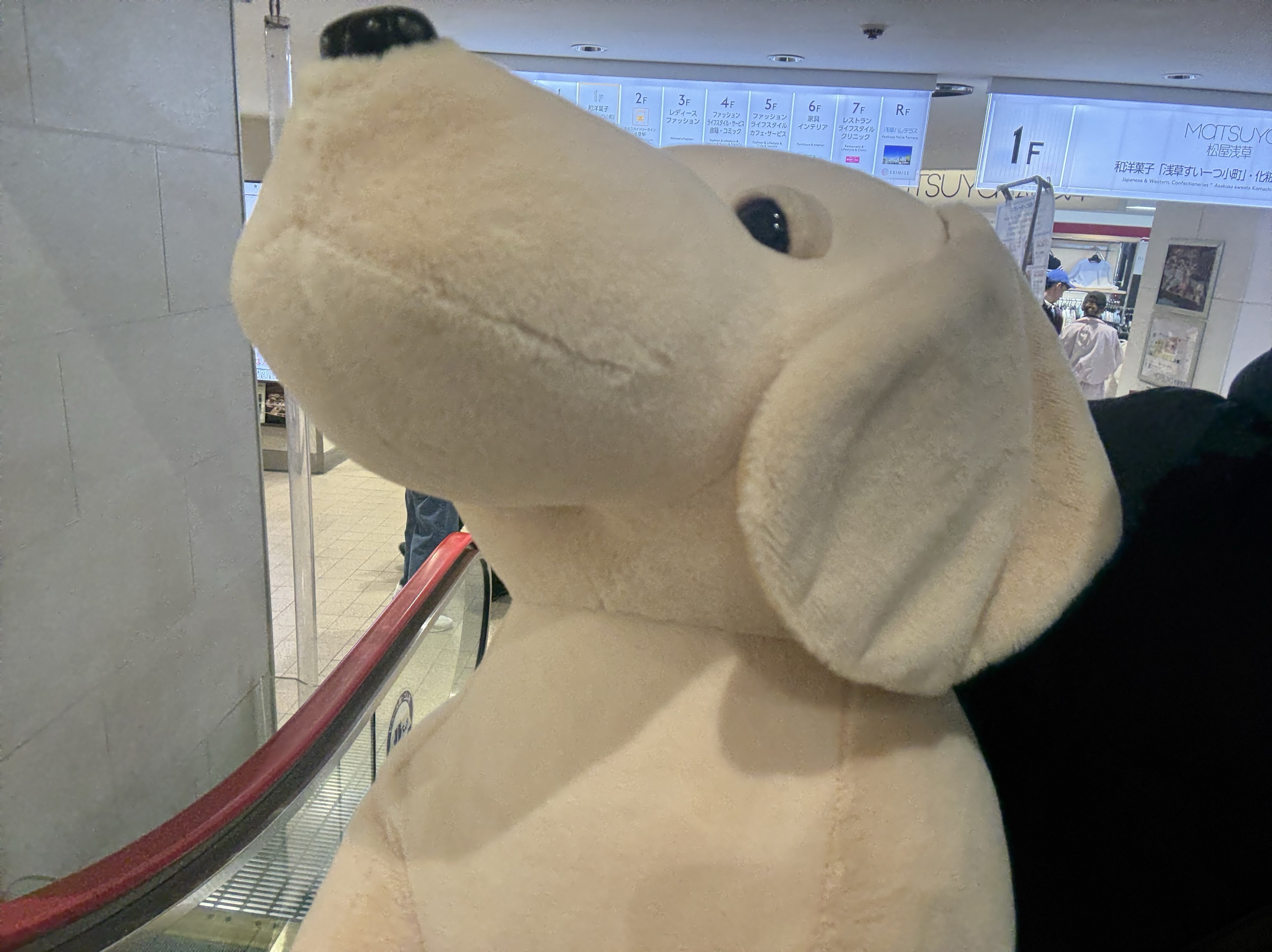 味付きたまご