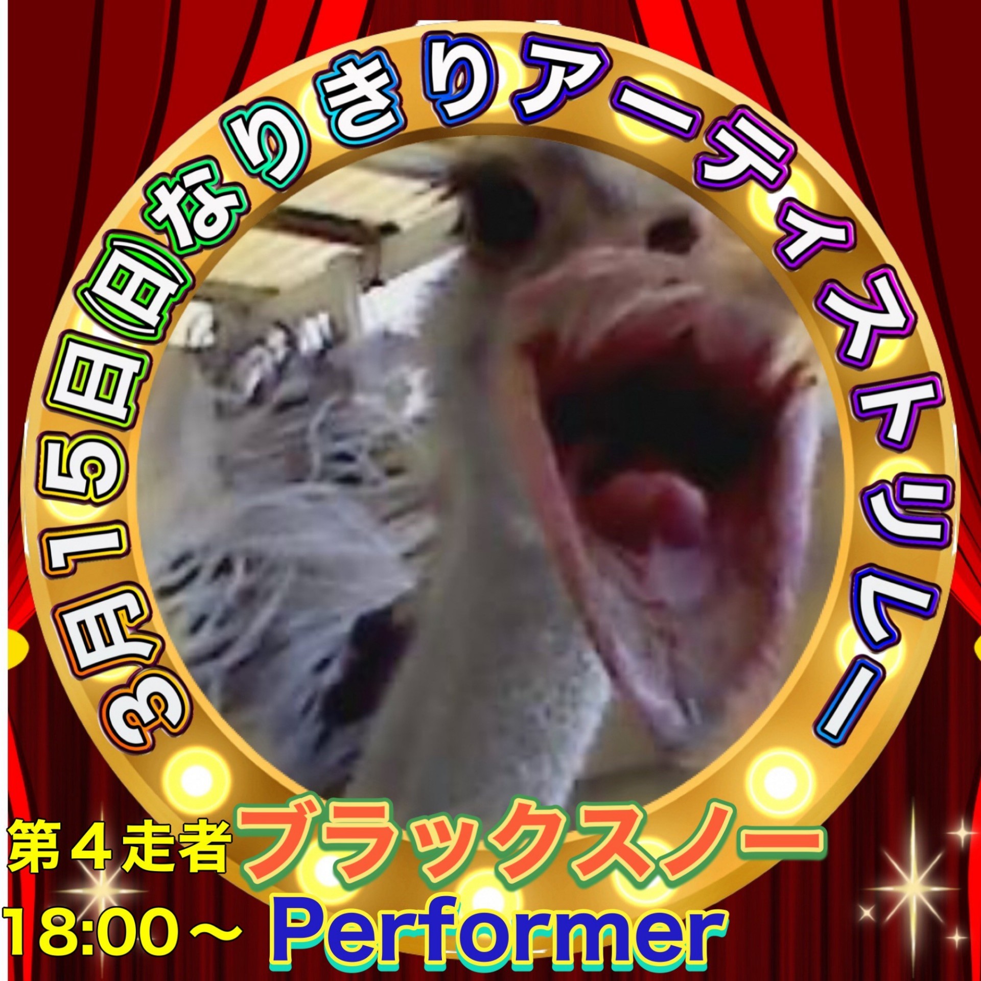 🖤⛄ブラックスノー💫✨