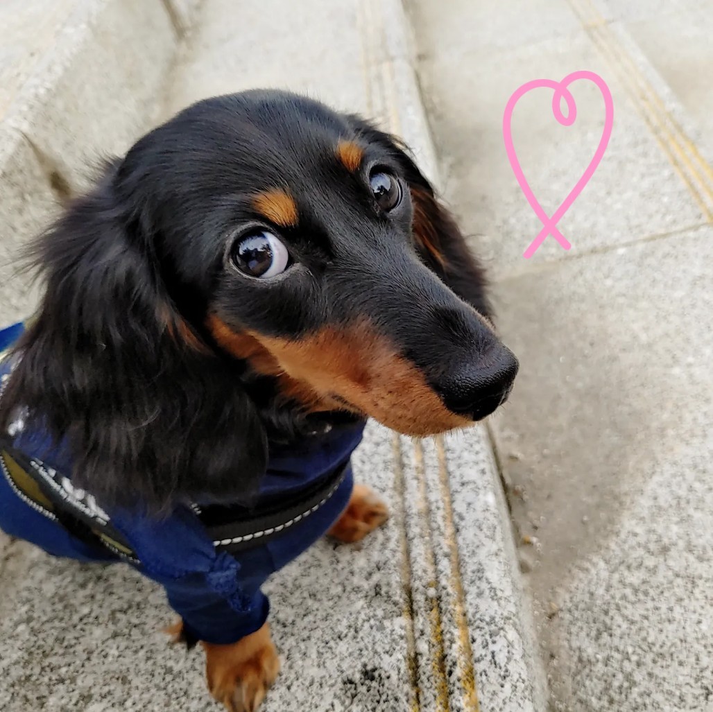 Night__Light (ないと)