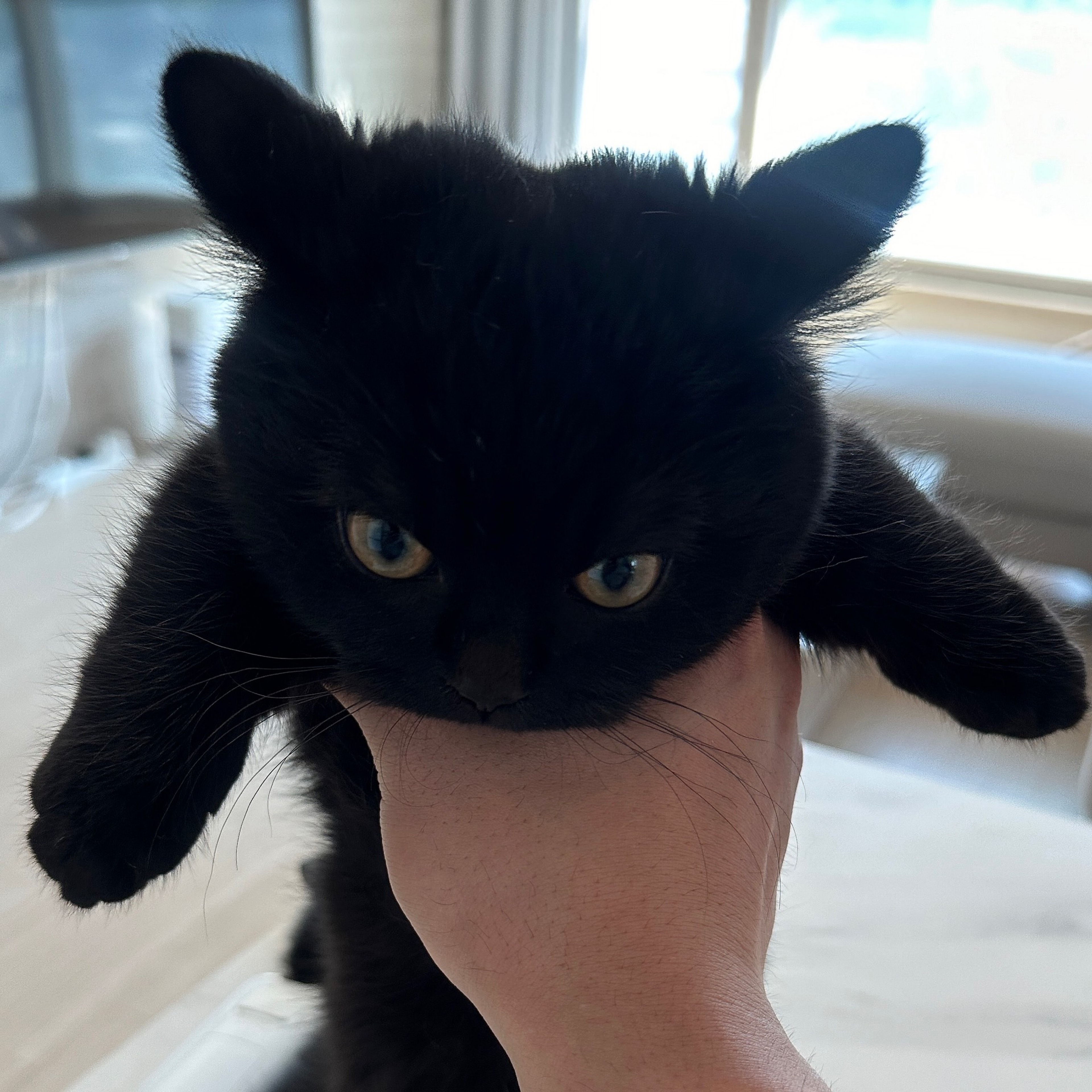 よるちゃん👔Ⓜ︎🍲