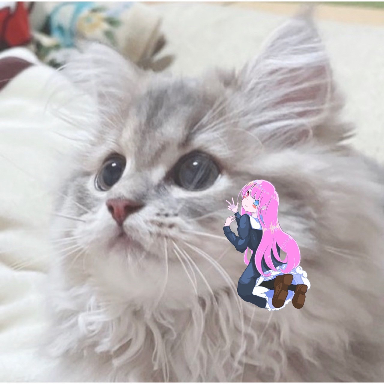 あっこちゃん。