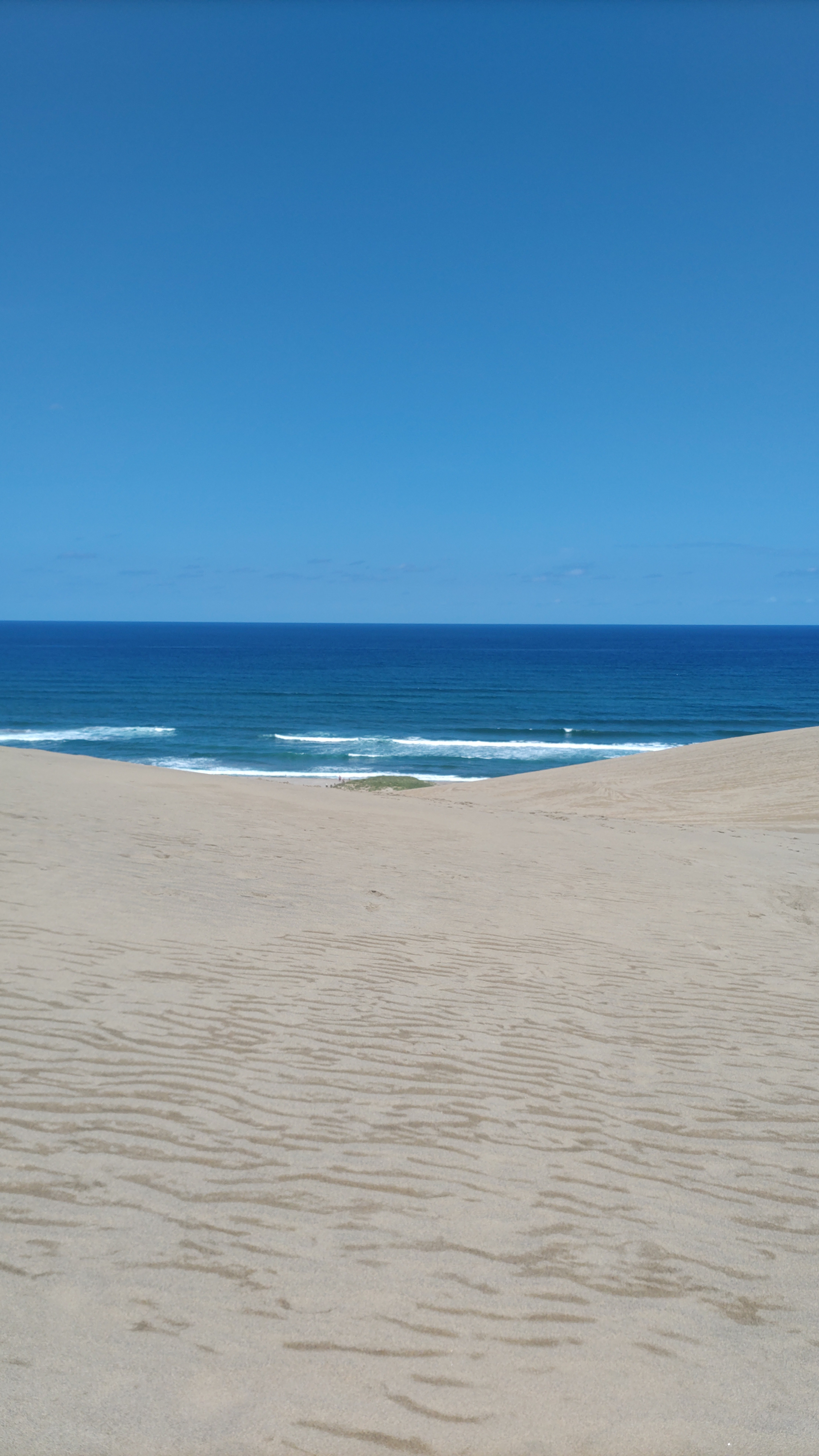 🎤📷️あきな