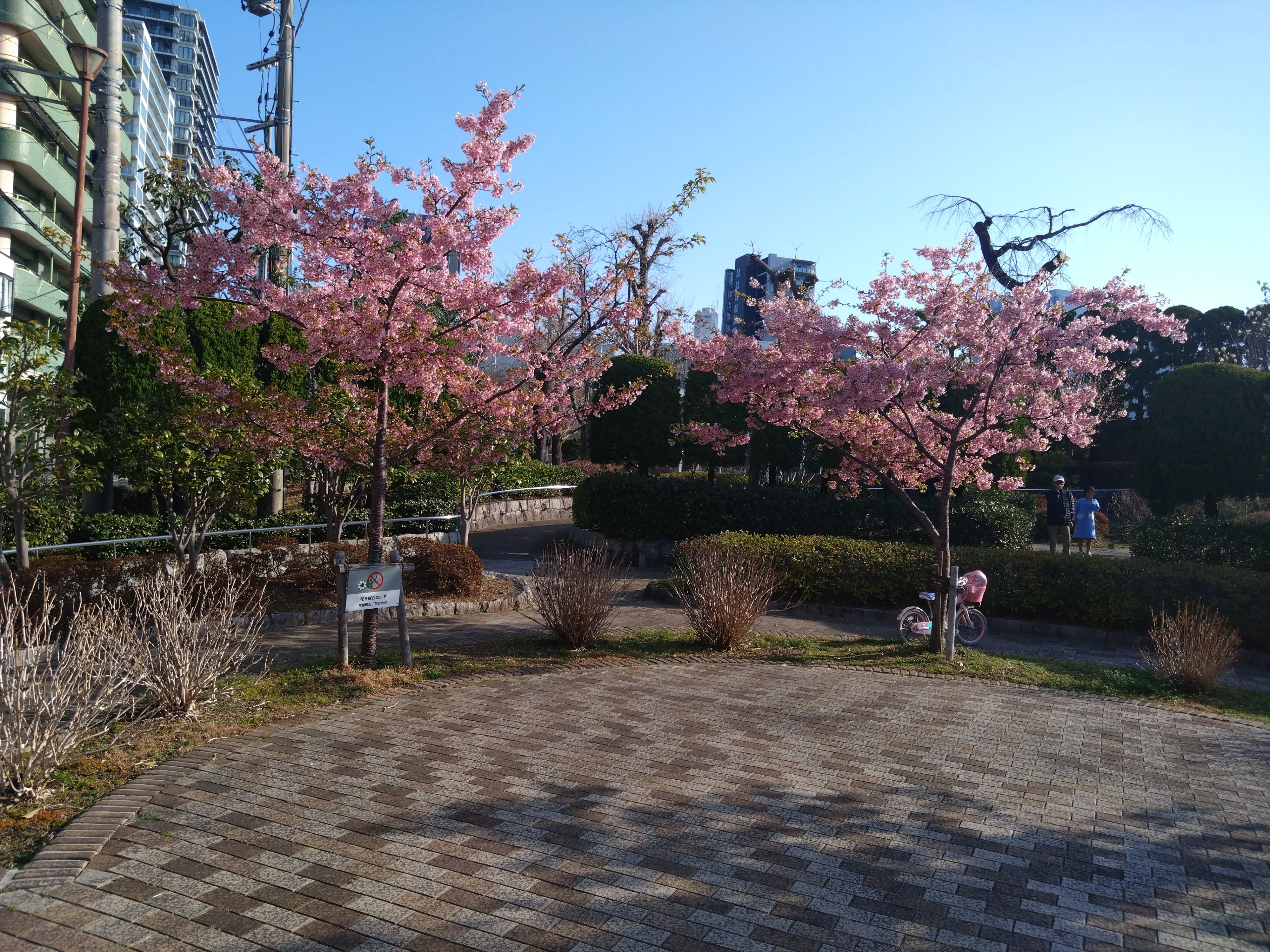 しんや＆さわぴー