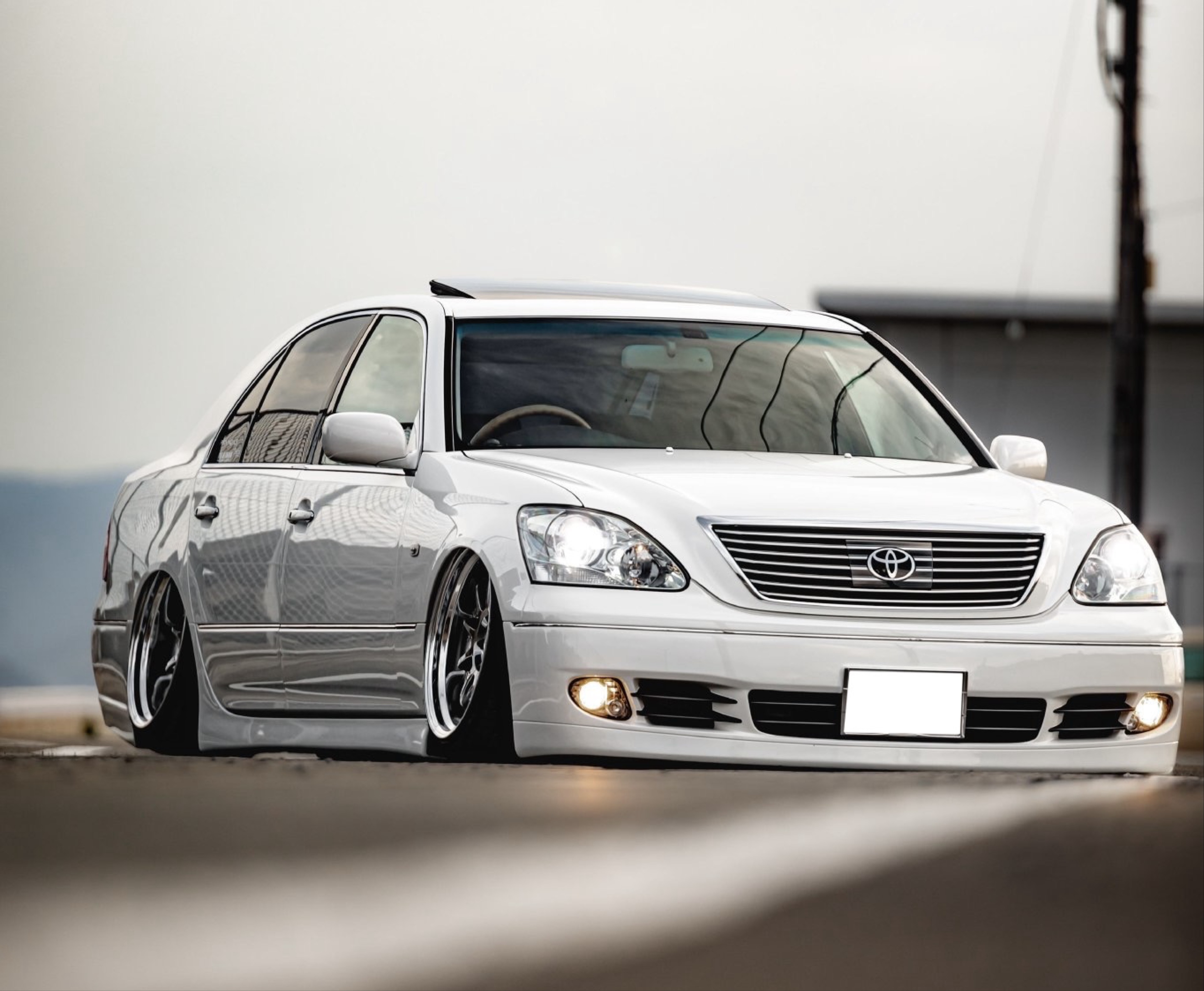 Ⓨ̤̮ゆりっぺ∨̈* ᙚฅ