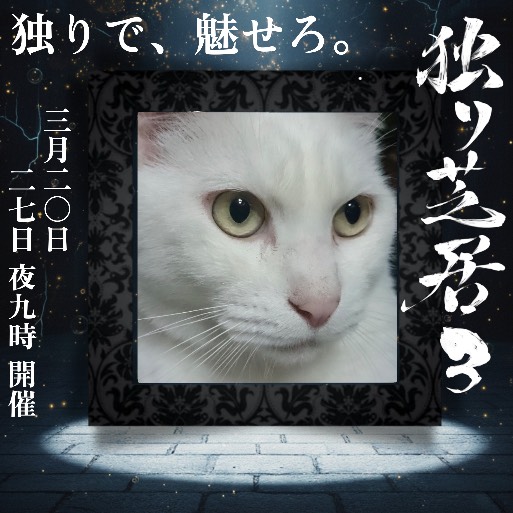 へべれけ(へべ子)𓍯𓈒✲*ﾟ