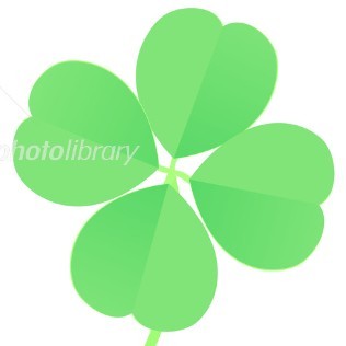 yoshiki*＊🍀よしき